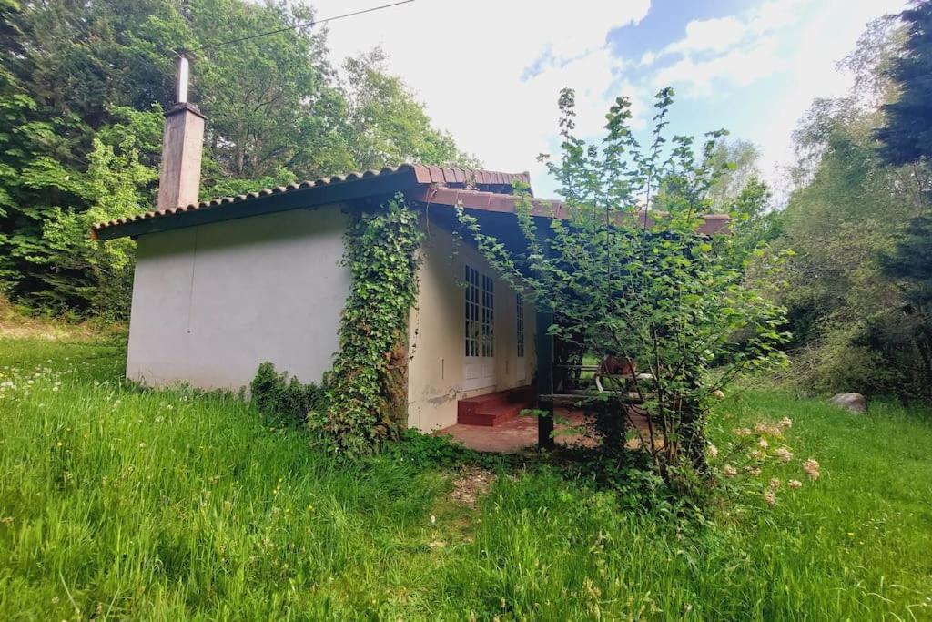 Gite Rustique - Perigord Vert - La Collina 24300 Abjat-sur-Bandiat Kültér fotó